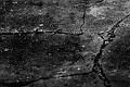 Fissures